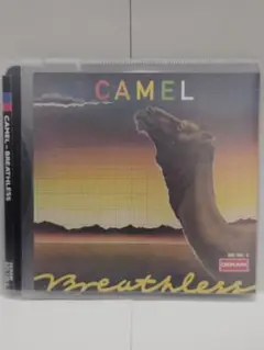 camel