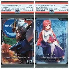 EXリソース ラクス・クライン EXリソース ラクス・クライン オフィシャルカードケースセット