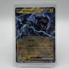 2026年最新】ゼクロムEX psa10の人気アイテム - メルカリ