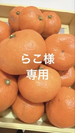 専用ページ らこ様