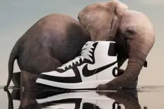 【26cm】cdg homme plus × NIKE Terminator