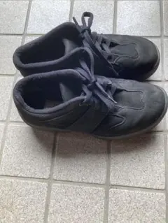 Item thumbnail for item d3635cdb-ab7f-416f-9826-f04e045e090d