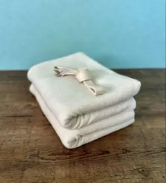 Item thumbnail for item 07225c0c-c7f1-48d1-85a9-71077b7c648c