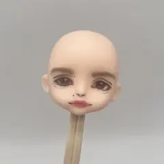 セリアドール ねんどろいどシリーズ系かすたむフェイス メイクオーダー