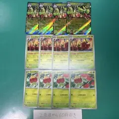 カミツオロチex カミッチュ　カジッチュ　各４枚　おまつりおんど