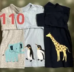 長袖Ｔシャツ　3枚セット 110 ベルメゾン
