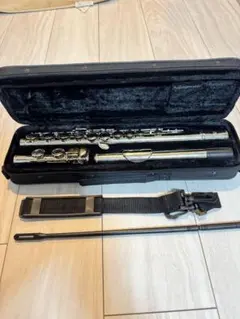 Item thumbnail for item 4724b89e-c1eb-4afe-bd7f-6cfc736bd2a1