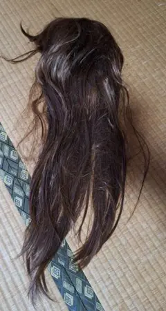 Item thumbnail for item 47e97b8e-40cf-48bb-afbd-4098f4690a25