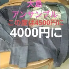 メンズ 着物 ダークブルー 内側絵柄付き