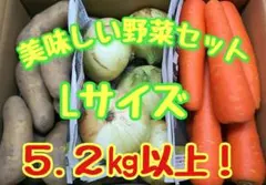 美味しい野菜セット！Lサイズ！5.２㎏以上！常備野菜！！