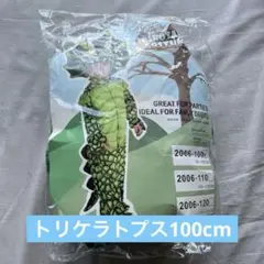 トリケラトプス　ハロウィン　子供向け