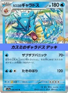 ポケモンカード 構築済み デッキ カスミのギャラドス 215