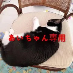 【あいちゃん専用】