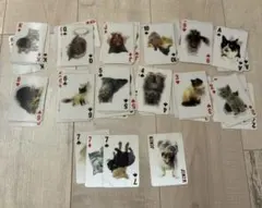 Item thumbnail for item 8b5be8e2-591c-4372-ab6f-320c8bf75b93