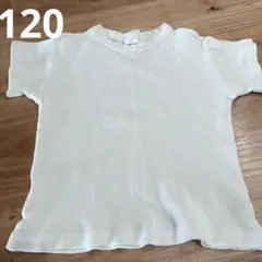 オフホワイト Tシャツ 120 ワッフル地