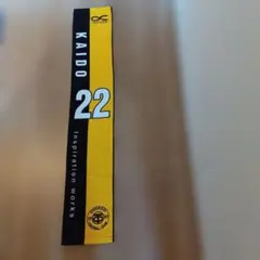 アオアシ エスペリオン 海堂 22 タオルマフラー