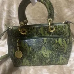 【希少】Louis Feraud パイソン柄 2WAY ハンドバッグ