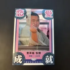 Item thumbnail for item 0296391b-5644-4c8f-9ec5-740b163135ed