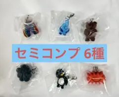 Daisuke Kondo めじるしアクセサリー セミコンプ 6種