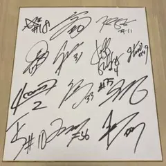 越谷アルファーズ　選手13人分　直筆サイン