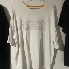Timberland オールジェンダー 半袖 グラフィック Tシャツ