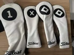 Item thumbnail for item 0b7606c9-37b7-4bfd-8eef-647245ff2701