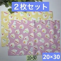 ２枚組★小さめランチョンマット★給食ナフキン★フルーツサンドシマエナガC