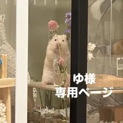 ゆ様専用ページ／オーダー