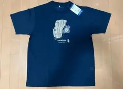 Item thumbnail for item 829981a6-a200-434b-b586-4fa3f4e5abee