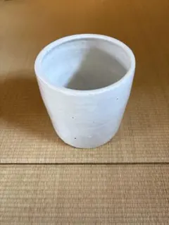 ボタボタ限定みやび鉢 パキプスInvisible ink 鶴仙園KOMODRY - メルカリ