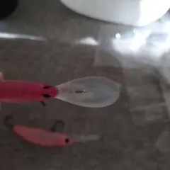 Item thumbnail for item 73926f59-cd2f-4944-b9a1-7465dd2cda23