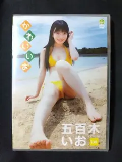 Item thumbnail for item 996087b7-de8b-4b96-95ee-7f6fa81cb857