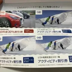 匿名発送 日本駐車場開発 日本スキー場開発 株主優待 割引券3枚