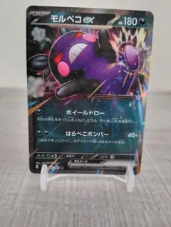 モルペコex 180 HP ポケモンカード - メルカリ