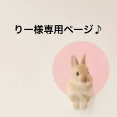 りー様専用ページ♪