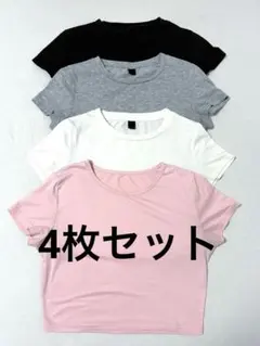 【4色セット】クロップドTシャツ ミニT フィットネス