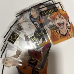 ハイキュー ハイキューファンパーク クリアカード