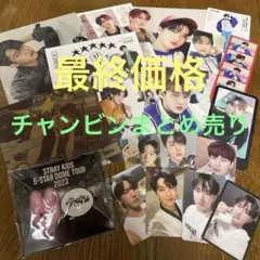 straykids スキズ チャンビン まとめ売り　トレカ　CD
