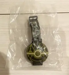 ポケモン　モンスターボールウォッチ　レックウザ