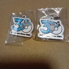 ポケモン　30周年　メタルチャームマスコット　2個セット