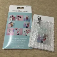 ディズニー イマジニングザマジック キーチェーン グーフィー