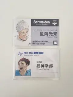 ハイキュー!! 名刺カードコレクション 第1弾　星海光来 昼神幸郎