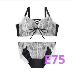 Item thumbnail for item 2f159e83-5117-4df4-9e2d-c777fadc0564