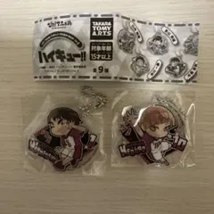 ぴた!でふぉめハイキュー‼︎アクリルキーホルダーvol.2 牛島&白布セット