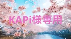 KAPi様専用