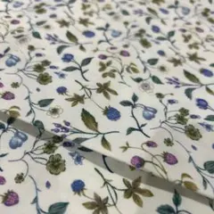 Item thumbnail for item 5154850d-e353-4004-90da-5a4f53ab85be