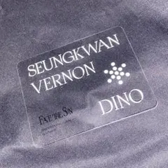 SEVENTEEN   Face the Sun スングァン バーノン ディノ