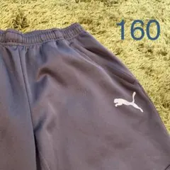 PUMA プーマ スポーツウィア 下 160