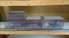 龍角散　120アクリル水槽用ウール引き出し　ドライ付き背面黒 龍角散様専用 120アクリル水槽用ウール引き出し ドライ付き背面黒