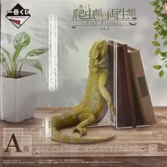一番くじ 爬虫類＆両生類 A賞 フトアゴヒゲトカゲ ブックスタンド